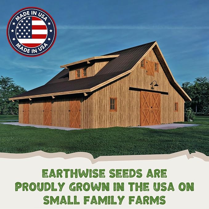 Earthwise Low Grow Alternative Lawn Mix, No Mow Grass Seed, 1/2 lb, Covers 200 sq. ft. Bare or 500 sq. ft. Overseed (50 lb)
