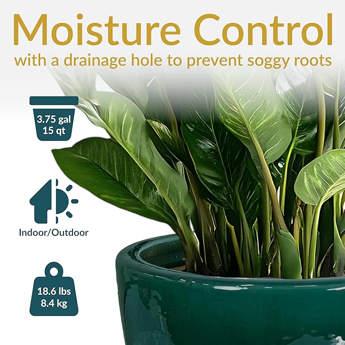 Sunnydaze Large Ceramic Plant Pot - Round Outdoor Glazed Ceramic Planter Pot with Drainage - Resort - Dark Green - 14.5"