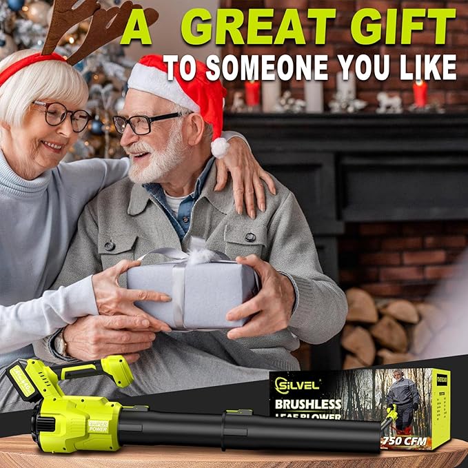 Cordless Leaf Blower, 550CFM (160MPH) Brushless Turbo Blower, 24V High Power Battery Powered Leaf Blowers with 2x4.0Ah Battery & Charger, Electric Blowers Variable Speeds for Lawn&Garden