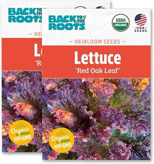 Back to The Roots 100% Organic Heirloom Seeds - Red Lettuce Value Pack (1.4g Total)