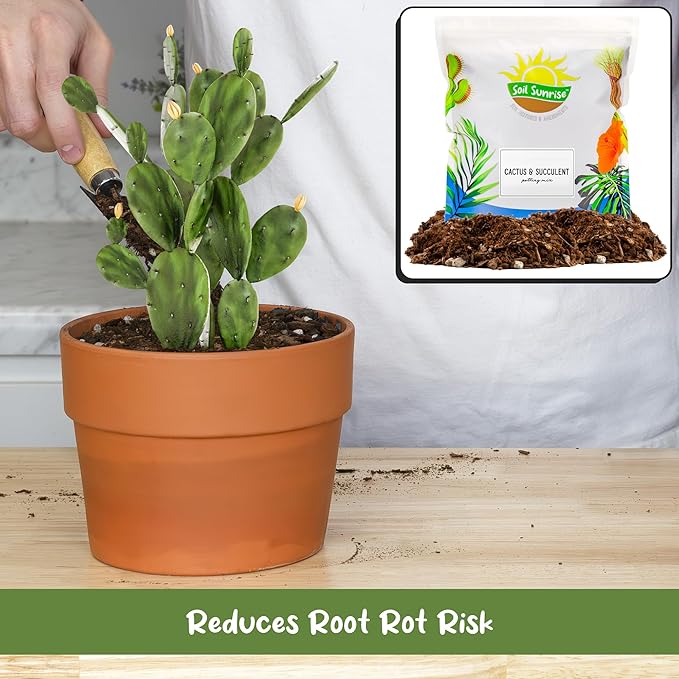 Cactus and Succulent Potting Mix (2 Quarts), Special Blend-Fast Draining and Desert-Style Gritty