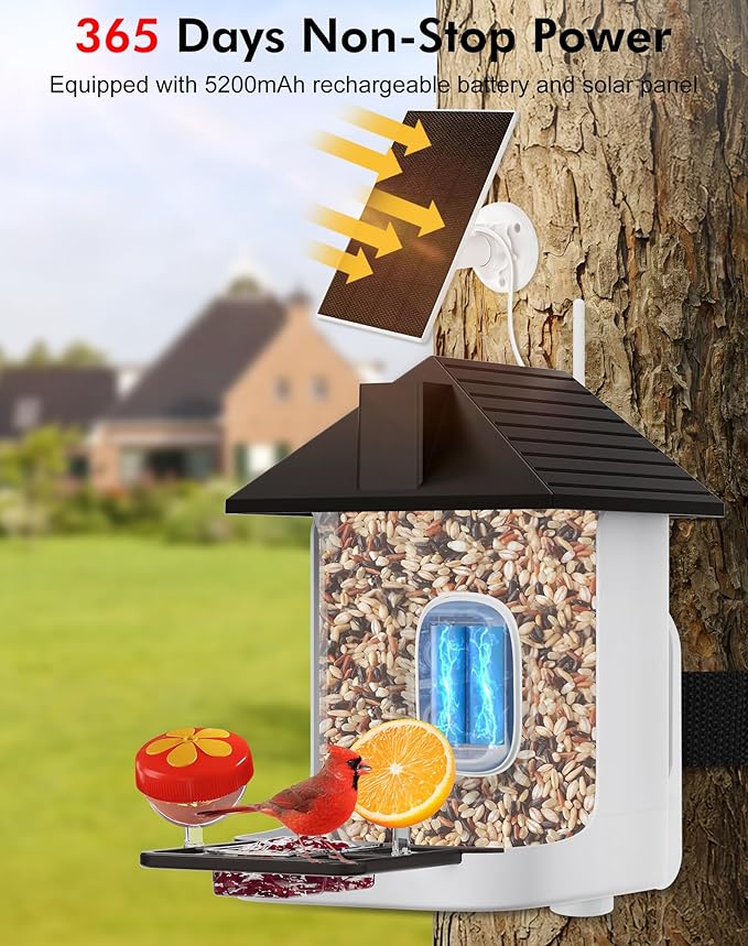 Smart Bird Feeder with Camera,5200mAh Battery with Solar Panel, 4K Native Resolution Live View, AI Species Identification, Auto Capture & Instant Arrival Alert, Ideal Gift for Bird Lovers (Dark Grey)