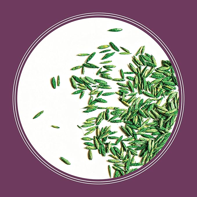 Pennington The Rebels Tall Fescue Shady Grass Seed Mix 7 lb