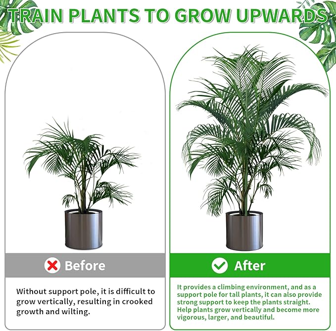 6 Pack 39.37" Detachable Twig Plant Support Stakes Set, Blends in to Plant, Branch Plant Sticks with Orchid Clips Twist Plant Ties, Twig Trellis for Indoor Outdoor Plants Potted Plants Flower