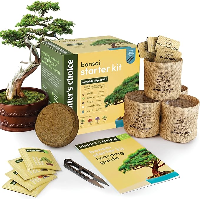 Bonsai Starter Kit - Gardening Easter Gift for Women & Men - Bonsai Tree Growing Garden Crafts Hobby Kits for Adults, Unique DIY Hobbies for Plant Lovers - Unusual Christmas Gifts Ideas
