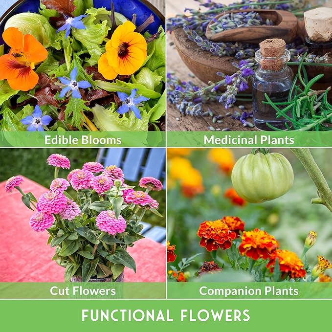 36 Variety Flower & Wildflower Seeds Garden Kit | Annual & Perennial Pollinator Mix with Cut Flowers for Bees, Butterflies & Bouquets | Non-GMO Heirloom Starter Pack – Survival Garden Seeds