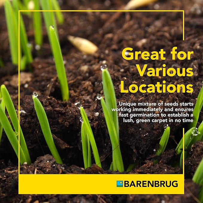 Barenbrug Wonderlawn Perennial Ryegrass Grass Seed for Southern Lawns, Fast-Acting Durable Grass Seed Mix for All Weather Conditions, 3-lb. Bag
