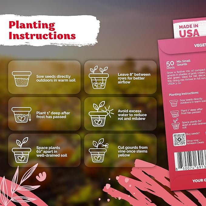 KVITER 50 Small Gourd Seeds Mix (Cucurbita Pepo) – Ornamental Fall Decor Gourds, Non GMO & Organic – Perfect Heirloom Seeds for Planting Decorative Gourds in Vegetable Garden