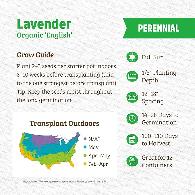 Back to The Roots 100% Organic Heirloom Seeds - Lavender Value Pack (90mg)