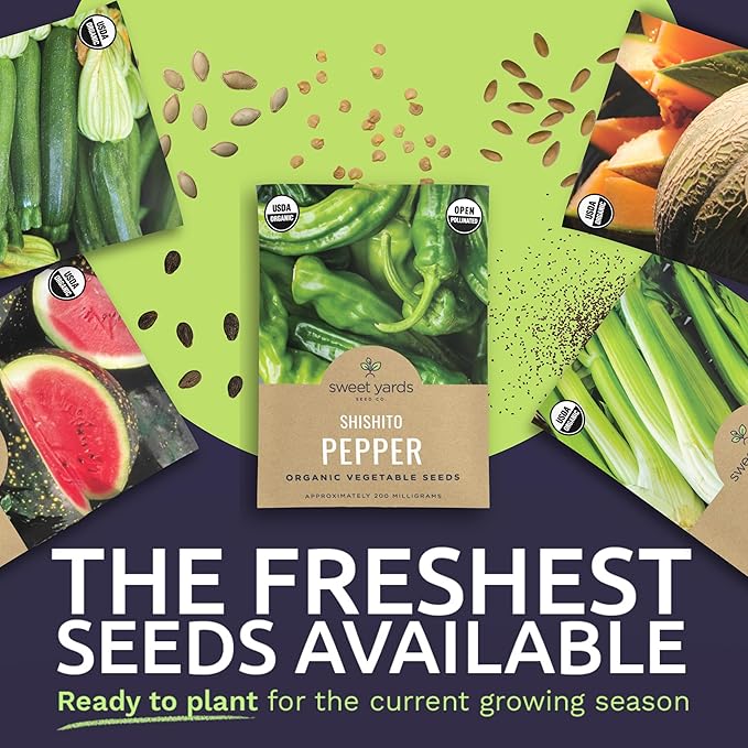 Organic Summer Seeds Variety Pack - 12 Individual Packs - 2025 Season - Basil, Tomatoes, Cucumber, Watermelon and More! for Indoor & Outdoor Planting (Non-GMO, Certified Organic)
