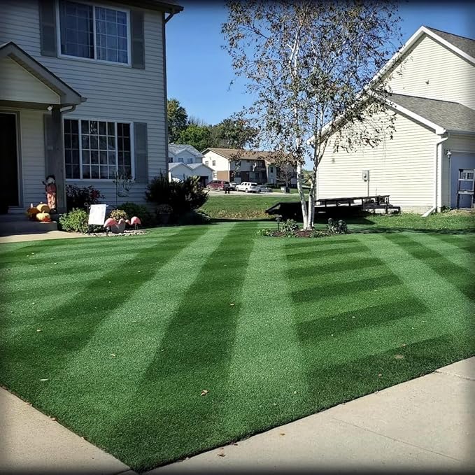 Lesco Double Eagle Rye Grass Seed - 50 lbs. Used for Overseeding Bermuda Grass. 100% Turf-Type Perennial ryegrass-3 Varieties