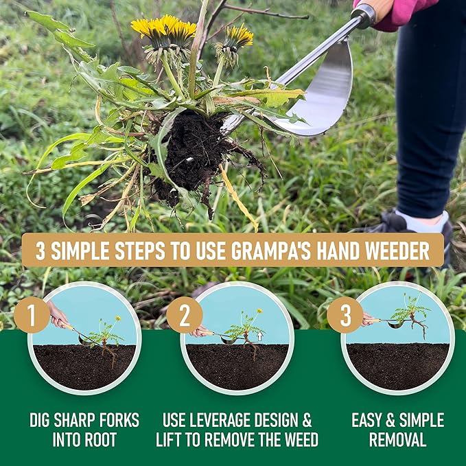 Grampa's Hand Weeder Tool - The Perfect Lightweight Easy to Use Weed Puller Tool for Garden - Durable Unique Lever Design with V-Shaped Forks Allows for Easy Removal of Weeds & Their Roots.