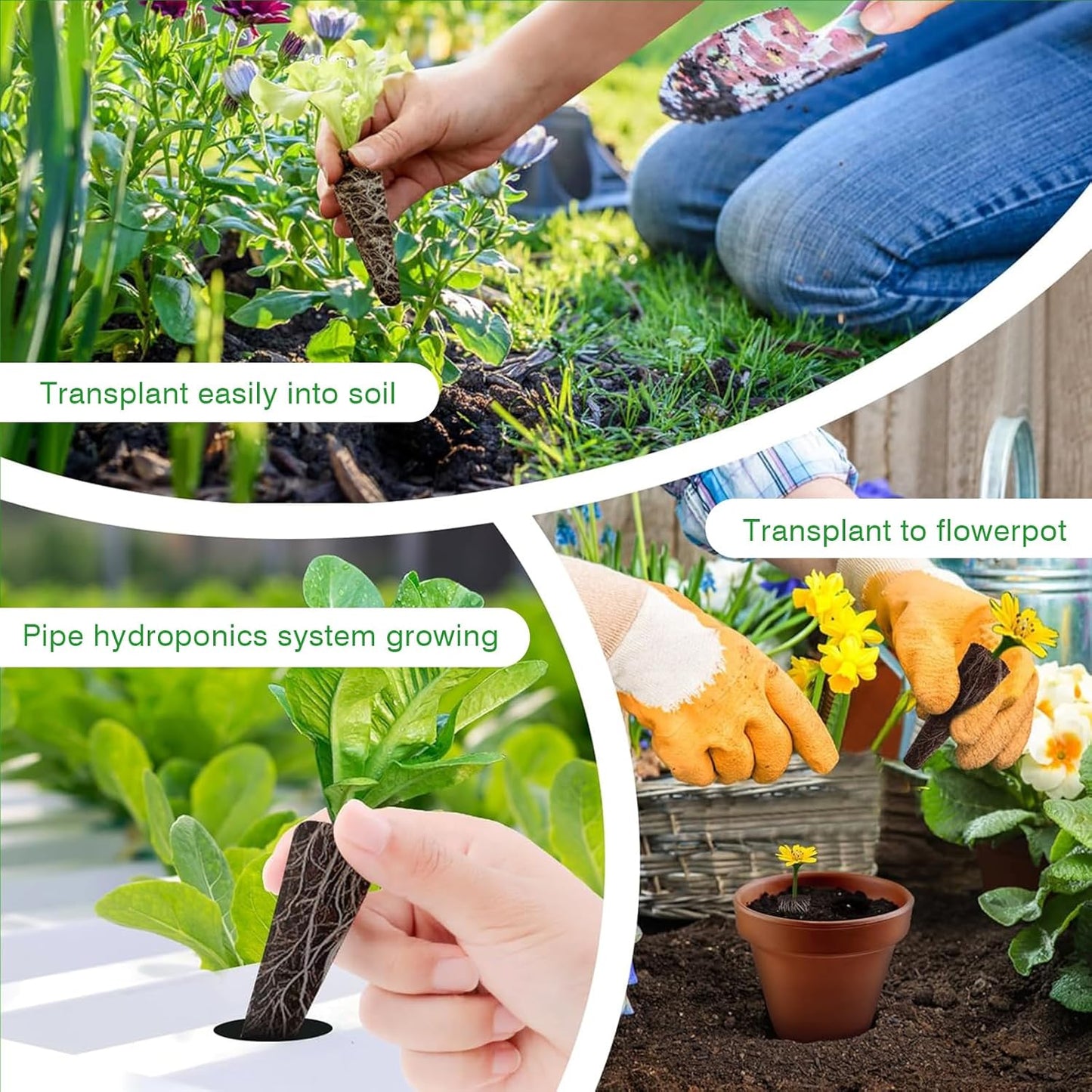 60 Pack hydroponics Grow sponges,hydroponics Seed pods Suitable for Aerogarden and Other Hydroponics System,for Faster Rooting and Easy Planting