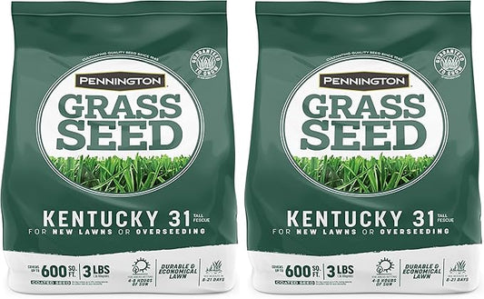 Pennington Kentucky 31 Tall Fescue Penkoted Grass Seed 3 lb, Green (Pack of 2)
