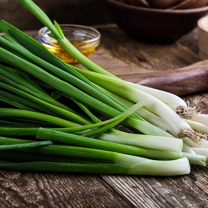 Back to The Roots 100% Organic Heirloom Seeds - Green Onion Value Pack (400mg Total)
