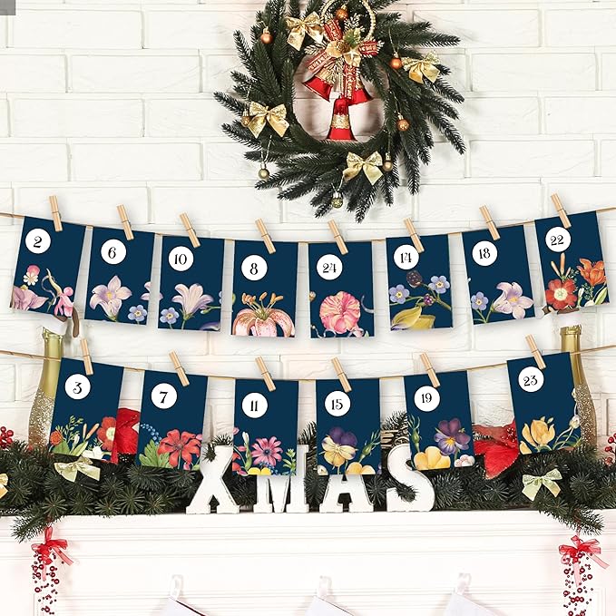 Seeds Advent Calendar 2025 Christmas Countdown - Non-GMO Heirloom Seeds 24 Types of Perennial Flower Seeds for Planting - Unique Christmas Garden Hanging Decoration for Women Adults Kids Family