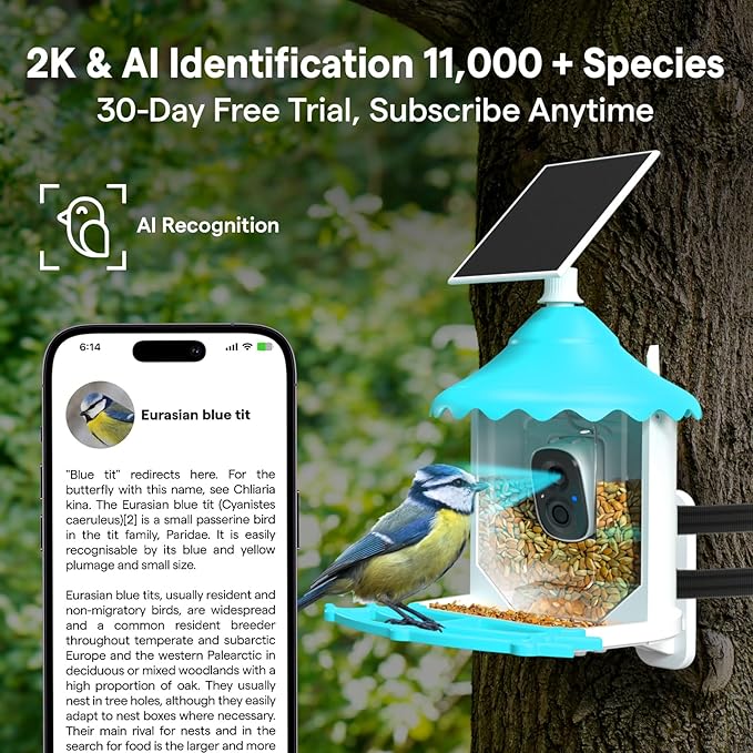 BirdsView Solar Powered Bird Feeder with 2K Ai Camera, Hummingbird Feeder, Bird House Camera, Live Alerts & Species Recognition โ Gift for Bird Lovers