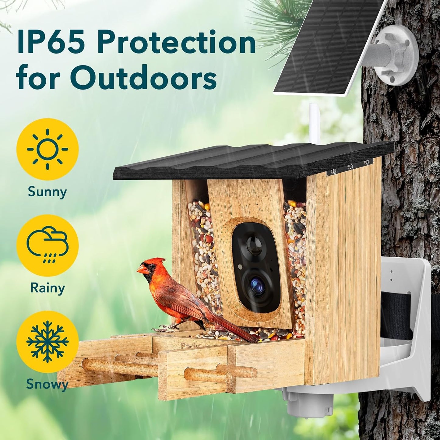 PeckCam® Bird Feeder with Camera - 4MP 2K Live AI Bird Species Identification Instant Arrival Alerts - Smart Cameras Birds Feeders Solar Powered Birdwatching Gift for Birdlover Mom Dad, 2.4GHz WiFi