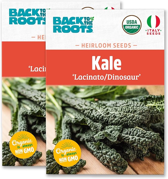 Back to The Roots 100% Organic Heirloom Seeds - Tuscan Kale Value Pack (560mg Total)
