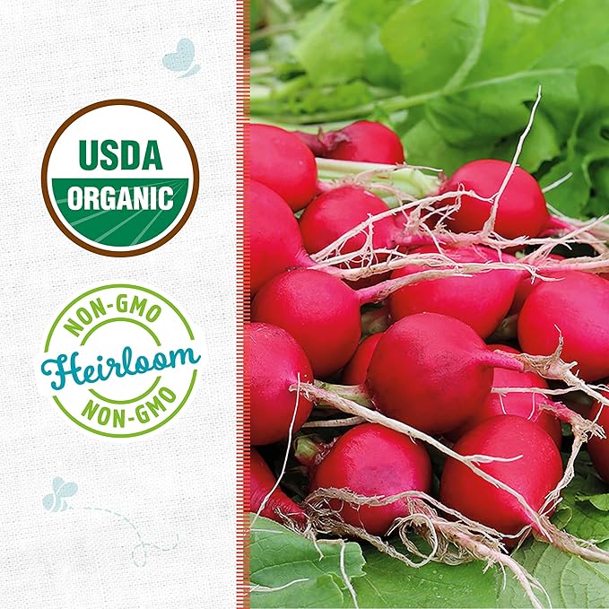 Back to The Roots 100% Organic Heirloom Seeds - Radish Value Pack (2.8g Total)