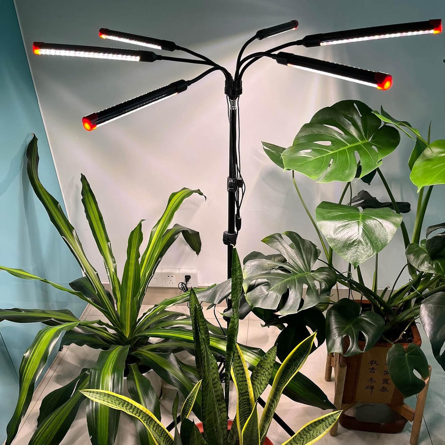 54 Watt Grow Lights for Indoor Plants with Stand, Standing Tall Plant Light with 4,8,12 Hr Timer, Full Spectrum Bonsai Tree Grow Light, 24"-64" Adjustable Tripod Stand Plant Growing Lamps