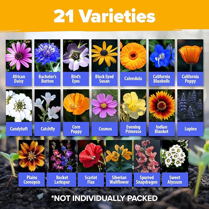 HOME GROWN π¨π¦π π£π₯ππ ππ¨π  Wildflower Seeds Mix - 49,100+ (2oz) Bulk Mix, 21 Varieties Wild Flower - Bee and Butterfly Garden Pack - Native Annual Flowers for Planting for Your Garden
