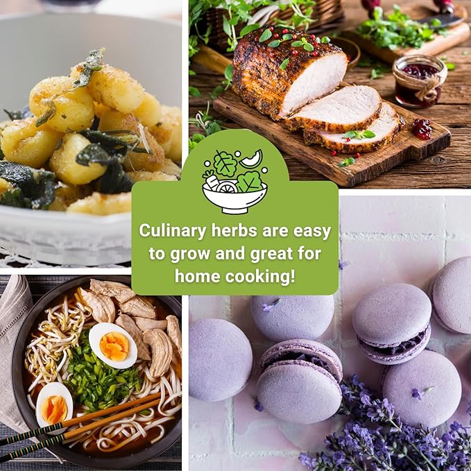 Sow Right Seeds - Large Herb Garden Seed Collection for Planting - Basil, Chives, Parsley, Lavender, Oregano, Dill, Lemon Balm, Chamomile & Thyme - Non GMO Heirloom - Plant Outdoors or Indoors