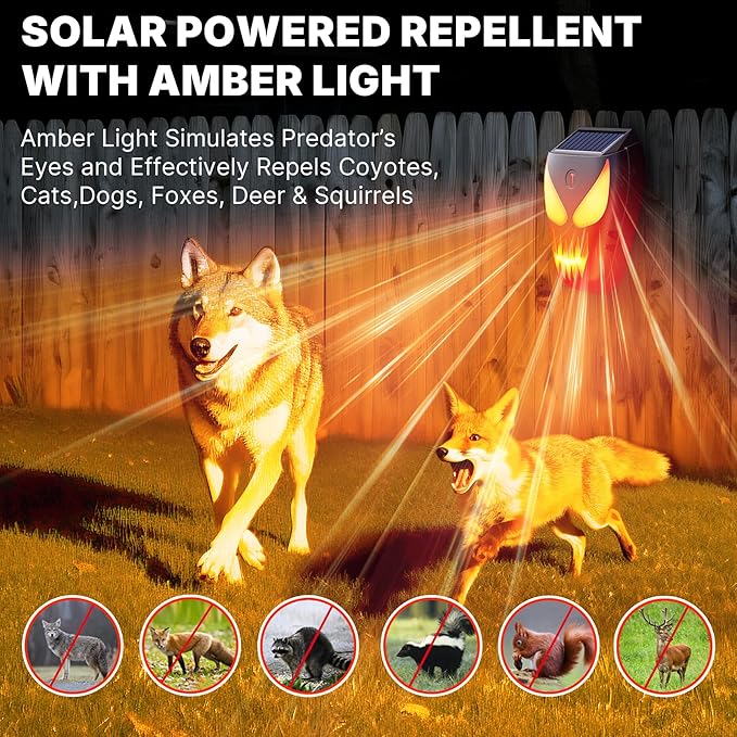 Solar Nocturnal Animal Repeller with Flickering Flame, Waterproof Solar Racoon Repellent Outdoor Coyote Deterrent for Fox, Raccoon, Skunk, Deer - Predator Light for Chicken Coop, Garden (Amber-2pack1)