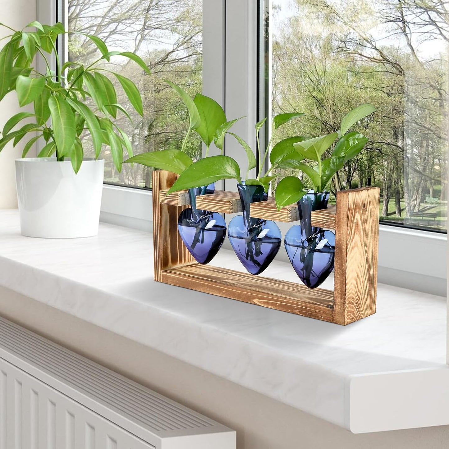 Plant Terrarium Propagation Stations Hydroponics Home Garden Decoration Gift for Women with Wooden Stand Heart Shaped Colored Glass Vase