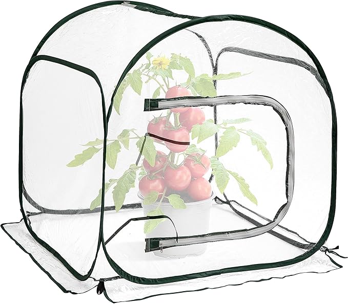 DECOHS 31.5" x 31.5" x 31.5" Mini PVC Pop Up Greenhouse, Transparent Pop Up Grow Greenhouse Plant Cover, Small Gardening Plant Flower Warm House for Cold Frost Protection Indoor & Outdoor