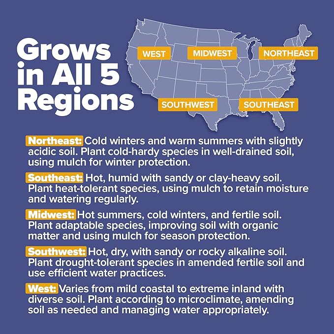 HOME GROWN π¨π¦π π£π₯ππ ππ¨π  Wildflower Seeds Bulk 4 oz 63,200+ Seeds 19 Varieties Non-GMO Perennial Mix, Butterfly & Pollinator Flower Seeds, Attract Bees, Birds & Hummingbirds, Outdoor Planting