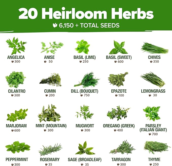 HOME GROWN Premium HERB Seeds Variety Pack - 20 Heirloom Herb Seeds for Planting - 6,000+ Non-GMO Seeds with Plant Markers - Indoor Outdoor Hydroponic Herb Garden - Culinary & Medicinal Herbs