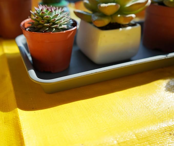 6 Pack of Plastic Plant Tray Saucer Rectangular 14 inch, Plant Trays Saucers for Indoors Outdoor, Plant Water Drip Tray for Flower Pot Planter, Windowsill Plant Tray (6.8 X 14.5'', Gray)