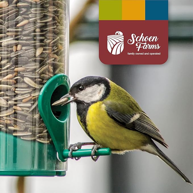 Schoen Farms Striped Sunflower Seeds – Hulled Wild Bird Food – 6 lb Bag – Premium Bird Seed for Cardinals, Jays & Finches