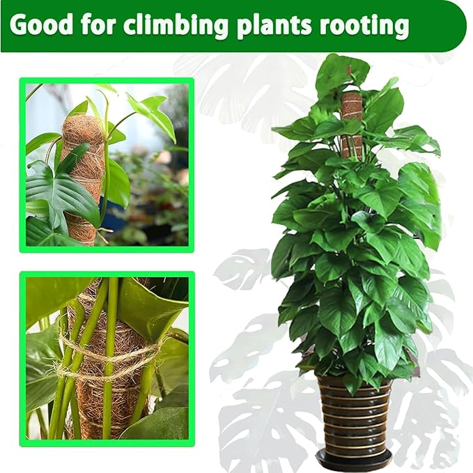 Moss Pole, 2Pack 21 Inch Plant Support Stakes for Indoor Plants, Monstera Plant Support Stakes, 37 Inch Tall Coir Plant Pole Sticks for Potted Plants, Pothos, Philodendron