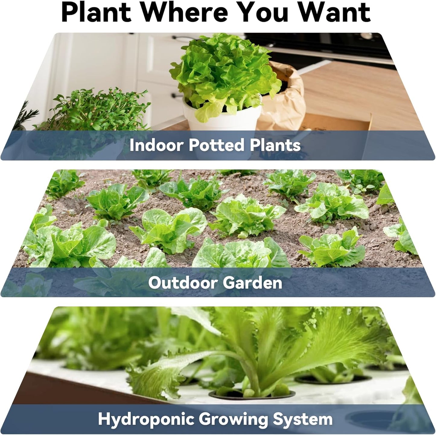 LYKOCLEAN Mix Salad Seed Pods for Aerogarden, Ahopegarden, iDOO Hydroponics Growing System Indoor Herb Garden, 400+ Seeds(12-Pods)