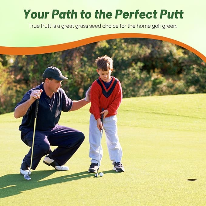 Outsidepride True Putt Perennial Creeping Bluegrass Seed - 2 Lbs. Shade-Tolerant Bluegrass for Golf Courses & Home Putting Greens - Ideal for Dense, Fine-Textured Lush Turf in Low-Light Areas