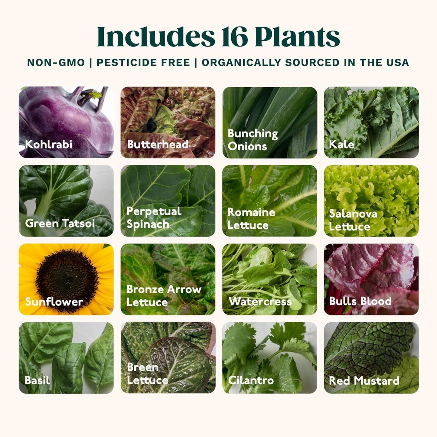 Gardyn Studio Vertical Hydroponics Growing System Kit - 16 Non-GMO Plants, Herbs, Vegetables - Tower Garden - Hydroponic Herb Garden Planter Indoor Kit - Indoor Gardening System with LED Grow Lights