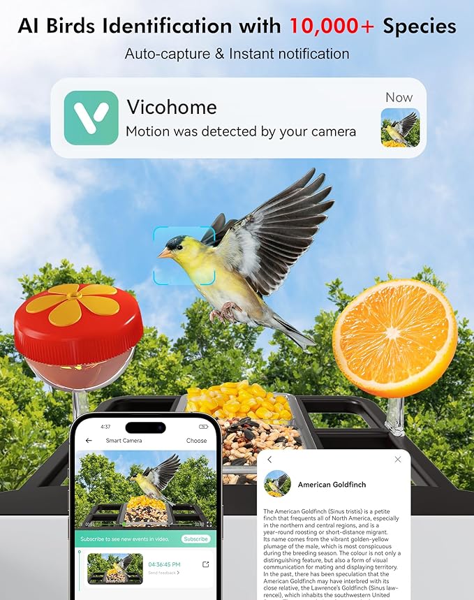 Smart Bird Feeder with Camera,5200mAh Battery with Solar Panel, 4K Native Resolution Live View, AI Species Identification, Auto Capture & Instant Arrival Alert, Ideal Gift for Bird Lovers (Dark Grey)