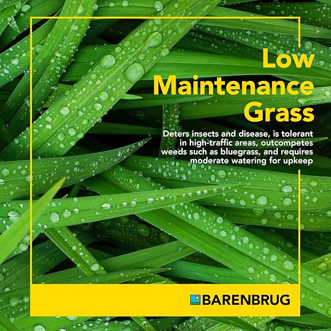Barenbrug Wonderlawn Winter Grass Seed Mix for Lawn Care and Landscaping, 10 lbs. Bag