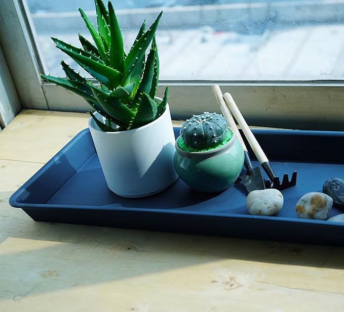 6 Pack of Plastic Plant Trays, Rectangular Plant Saucers for Indoors Outdoor, Water Drip Trays for Flower Pot Planter, Windowsill (6 X 11 Inch, Blue)