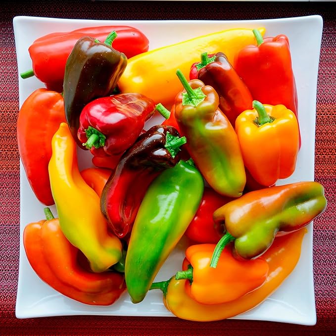 Back to The Roots 100% Organic Heirloom Seeds - Long Sweet Red Pepper Value Pack (280mg Total)