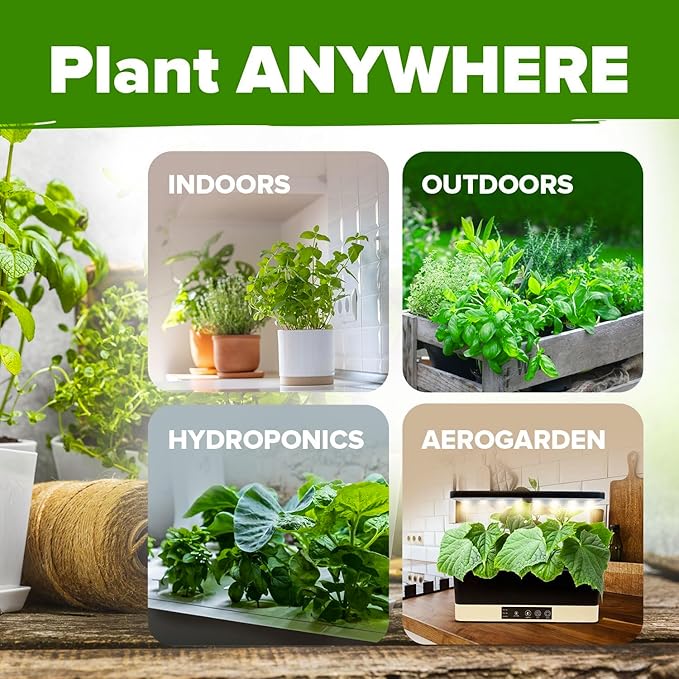 HOME GROWN 5 Herb Seeds for Planting 2,150+ Non-GMO Heirloom Seeds | Extra Large Variety Pack Herb Kit โ Indoor Outdoor & Hydroponic | Culinary Seed Set | Grow Your Own Herbs | Gift for Beginners