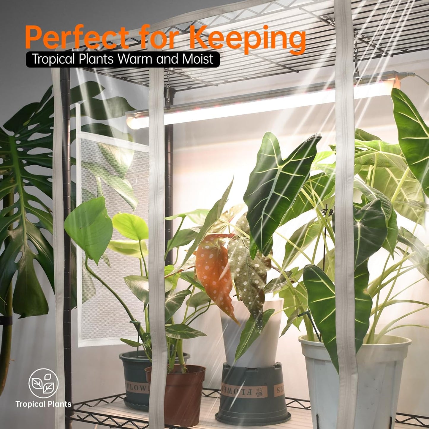 Bstrip Indoor Greenhouse with Grow Light, Plant Shelf with 4 Pack T8 Full Spectrum Plant Lights and cover, mini greenhouse for Indoor Plant, Seed Starting, Seed Tray, (47.2" L x 17.8" W x 71" H)