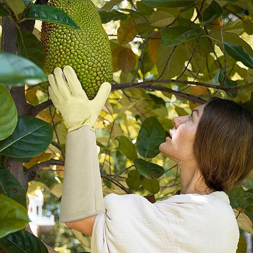 HLDD HANDLANDY Garden Gloves for Women Rose Pruning Gloves Cactus Protection for Yard & Outdoor Work Light Yellow, S