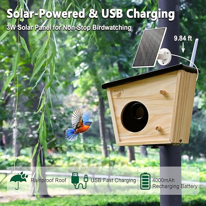 Smart Bird House with Camera, 2K HD Live View Birdhouse Camera with AI Recognition & Solar Powered, Perfect Viewing Bird Nesting and Hatching, Gift for Bird Lovers