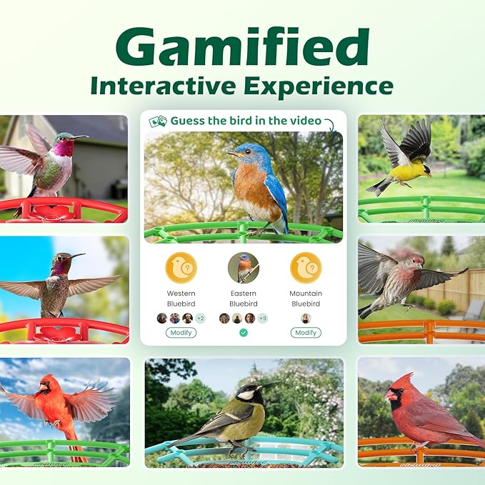 Bird Feeder with Camera, Smart Bird House with Cam for Outside, 2K HD Auto Record Video, AI Identification & Instant Alerts, Solar Powered, Bird Watching Gifts for Family and Birdlovers