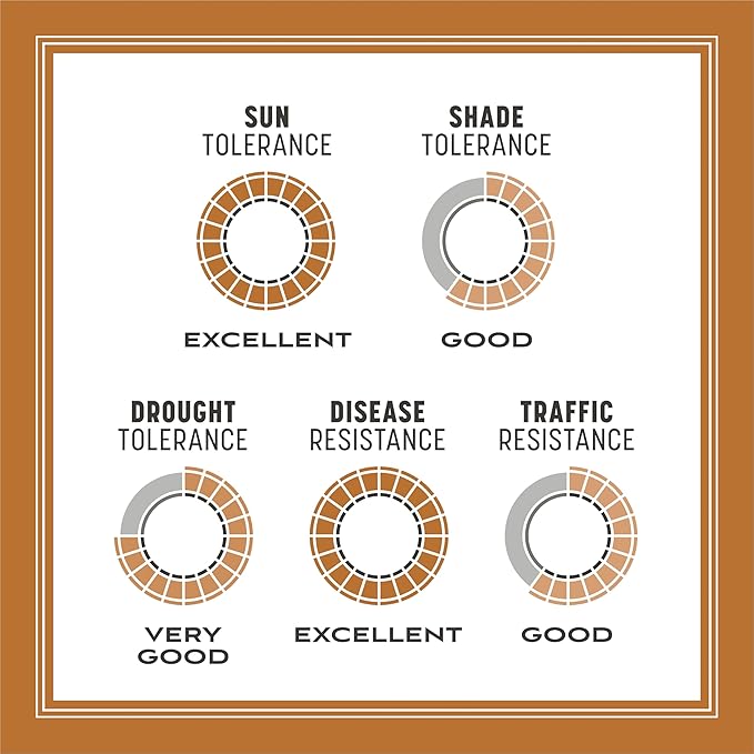 Pennington 100532365 Centipede Grass Seed & Mulch 5 LB, Black Label