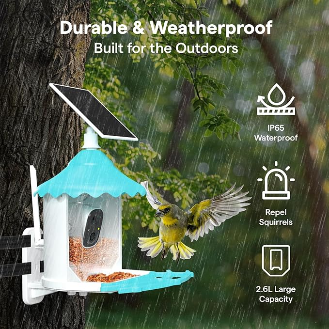 BirdsView Solar Powered Bird Feeder with 2K Ai Camera, Hummingbird Feeder, Bird House Camera, Live Alerts & Species Recognition โ Gift for Bird Lovers