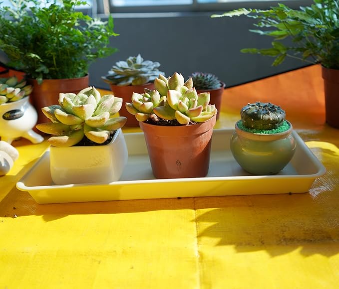 6 Pack Rectangular Plastic Plant Saucer, 14 inch, Indoor/Outdoor, Drip Tray for Flower Pot, Windowsill (6.8 x 14.5'', Beige)